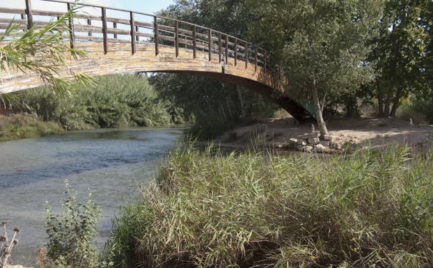 Coronavirus Ribarroja  Prohibido el baño en el río Túria en Ribaroja